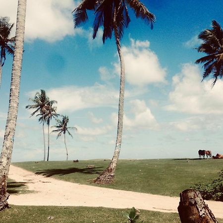 Dorian Guest House And Restaurant Weligama Esterno foto