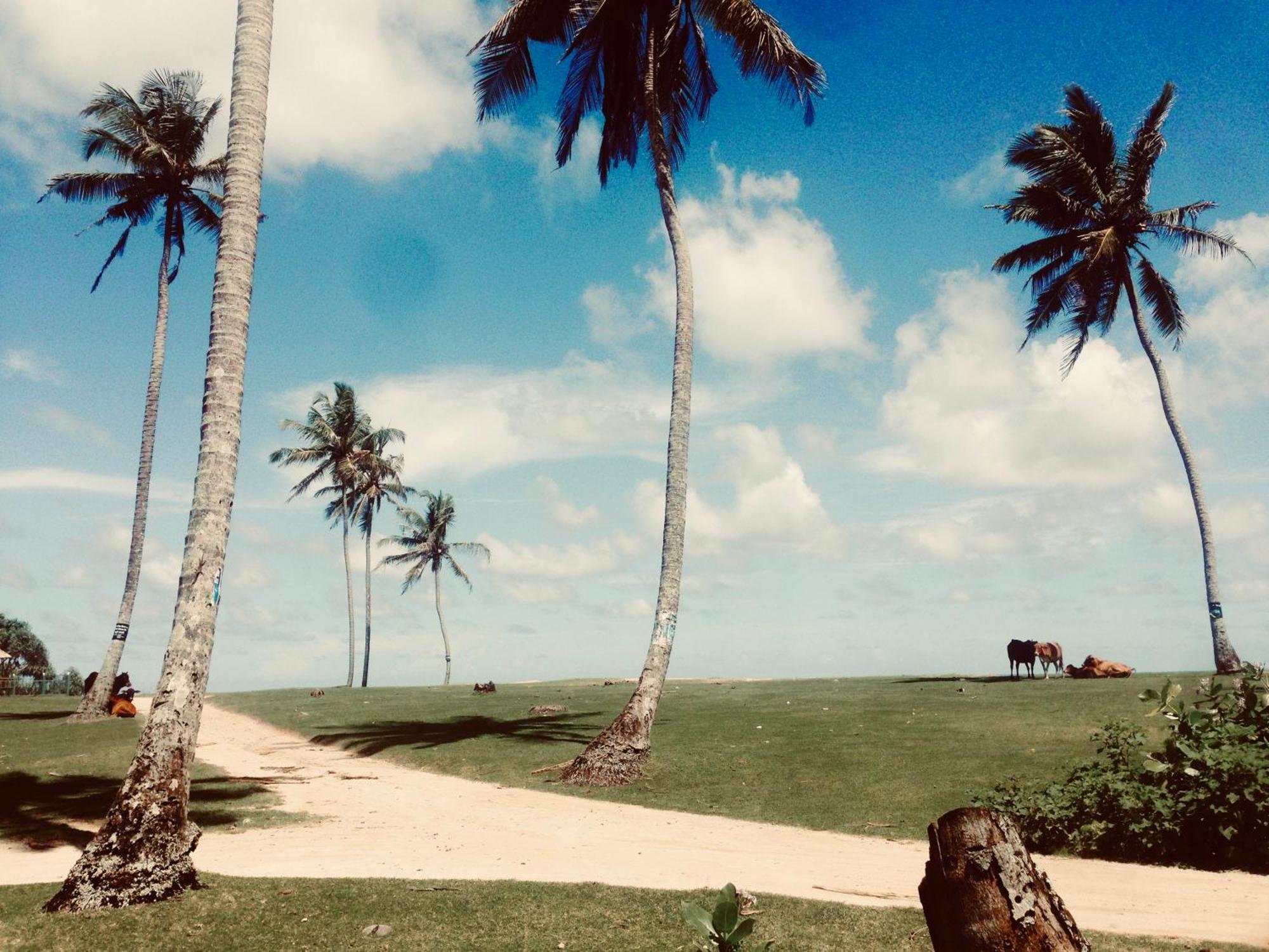 Dorian Guest House And Restaurant Weligama Esterno foto