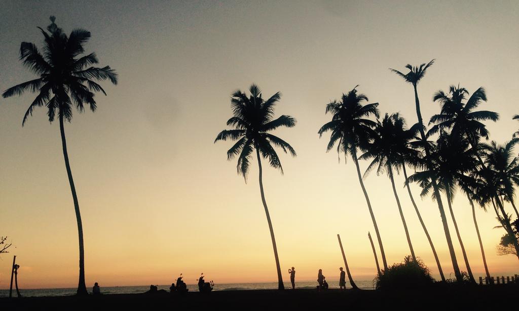 Dorian Guest House And Restaurant Weligama Esterno foto